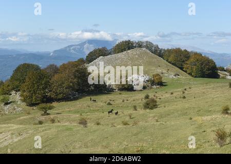 Turno, Italia. 11 Ott 2020. Una veduta di piano di Pedarreto, con alcuni cavalli, a circa 1300 metri di altezza, sui monti Pollino in Basilicata, Italia meridionale. Meta turistica molto popolare durante tutto l'anno. Credit: Agenzia fotografica indipendente/Alamy Live News Foto Stock