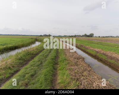 Un sentiero tra due fossati vicino a Weesp, Paesi Bassi. Foto Stock