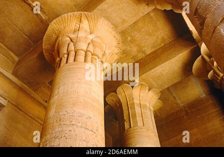 Colonne scanalate nel Tempio di Edfu, Egitto Foto Stock