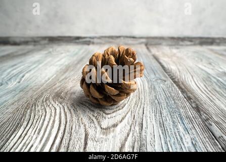 Un cono di pino si trova lateralmente su uno sfondo naturale di legno. Foto Stock