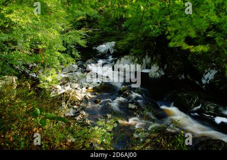 Fiume che scorre Foto Stock