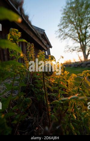 Storia, conoscenza, investigazione, passato, Eventi, memoria, scoperta, storici, Foto Stock