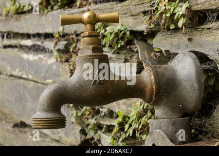 Un rubinetto d'acqua nel giardino in un giardino comune. Foto Stock