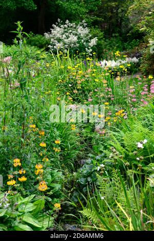 Stream foderato con primulas giapponesi, primula japonica, massa, massaggiata, piantando, mix, colori misti, giallo, rosa, viola, rosso, arancio, perenne, RM Floral Foto Stock