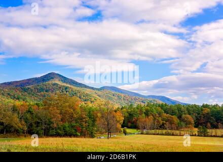 Il fogliame autunnale aggiunge spruzzi di colore a Cades Cove, 2 novembre 2017, al Great Smoky Mountains National Park in Tennessee. ( Foto Stock