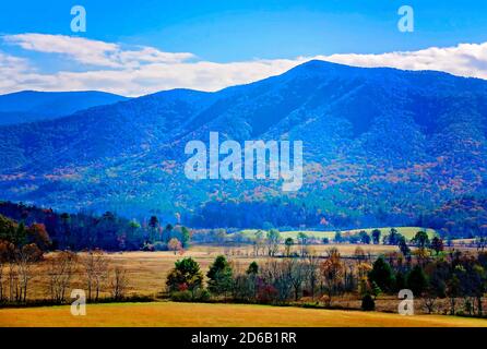 Caduta delle Foglie aggiunge spruzzi di colore in Cades Cove, nov. 2, 2017, al Parco Nazionale di Great Smoky Mountains nel Tennessee. Foto Stock