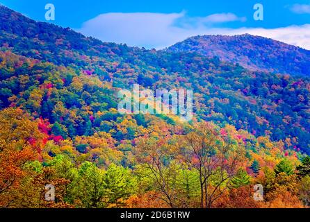 Caduta delle Foglie aggiunge spruzzi di colore in Cades Cove, nov. 2, 2017, al Parco Nazionale di Great Smoky Mountains nel Tennessee. Foto Stock