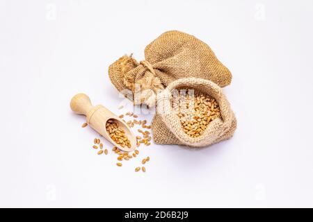 Grani interi di grano sbucciato isolati su sfondo bianco. Un ingrediente tradizionale nella preparazione sana dell'alimento. Sessola in legno e sacchi fatti a mano Foto Stock