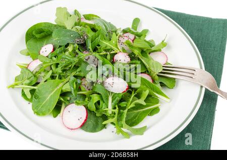 Spinaci, rucola, ravanelli e semi di cia. Foto Foto Stock