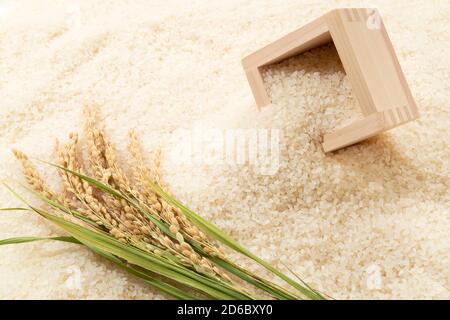 Riso bianco e Masu giapponese e spighe di riso Foto Stock