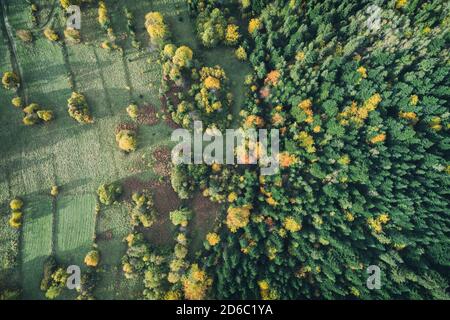 Beskid montagne in Zywiec Polonia, montagne e colline polacche drone aereo foto Polonia Foto Stock