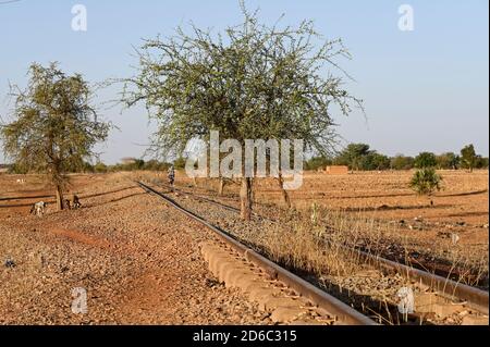 BURKINA FASO, Kaya, linea ferroviaria abbandonata per le miniere di minerale di manganese a Tambao, costruita durante il tempo di Thomas Sankara / BURKINA FASO, Kaya, von Sankara gebaute Eisenbahnlinie zu den Mangan Lagerstätten a Tambao, Eisenbahnstrecke schon seit Jahren ausser Betrieb, Symbol für verfehlunghelungsplukjewestrkjeweskjewelungspenshilungsplukjewicklung Foto Stock