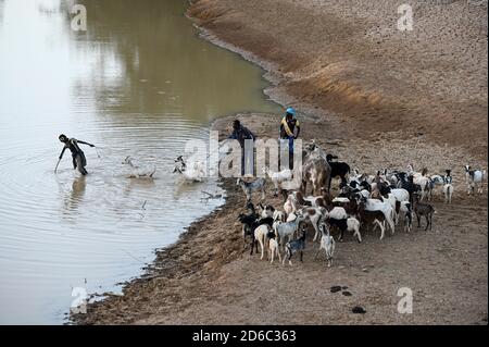 BURKINA FASO, Kaya, mandria di bestiame con capre a piccolo fiume/ BURKINA FASO, Kaya, Tierherde in einem Flussbett Foto Stock