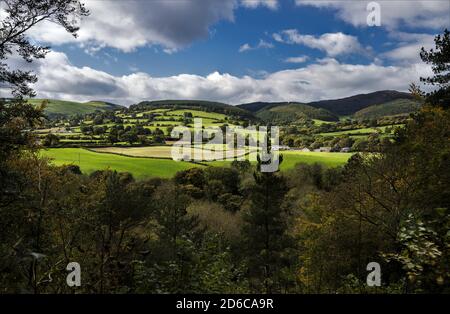 Il percorso Leete presso il Loggerheads Country Park, Denbighshire, Galles del Nord, Regno Unito. Foto Stock