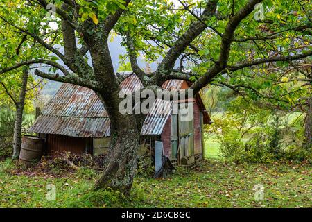 Piccolo capannone di legno circondato da alberi da frutta, autunno, Ariege, Pirenei francesi, Francia, Pirenei montagne in autunno Foto Stock