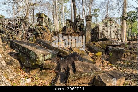 Artefakt archeologia Moss sui blocchi di laterite in pietra arenaria Prasat Krahom paesaggio archeologico di Koh Ker all'Angkor Wat sito in NOR Foto Stock