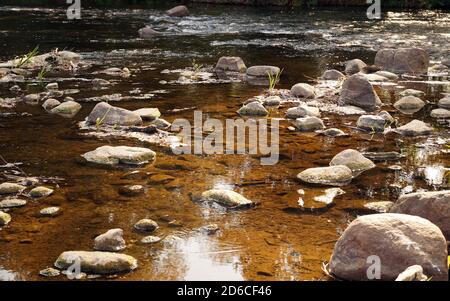 Fiume naturale pulito. Corrente veloce nel letto di fiume di pietra Foto Stock