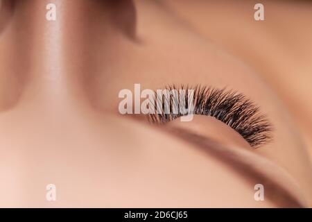 Extension delle ciglia procedura. Donna occhio con lunghe ciglia. Close up, il fuoco selettivo. Foto Stock