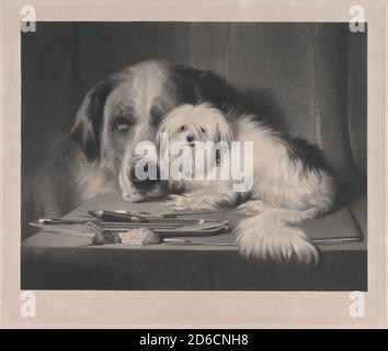 Il cane leone di Malta--l'ultimo della sua tribù, 1844. Foto Stock