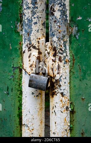 Zona residenziale abbandonata, presa dalla natura. Zona di esclusione di Cernobyl. Ucraina Foto Stock