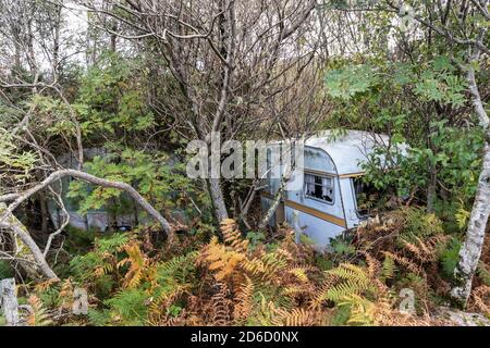 Caravan vecchi lentamente essere riclassati dalla natura in un bosco di sovrappieno, Regno Unito Foto Stock