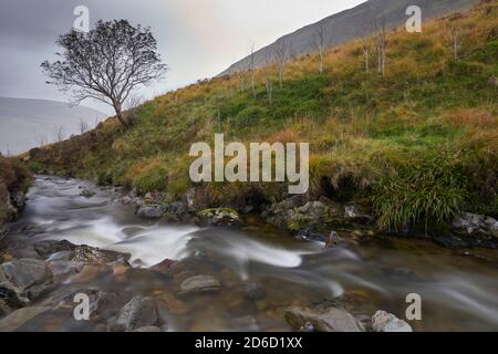 Lunga esposizione di ruscello che passa attraverso l'albero solato su una collina a Carifran Wildwood, ai confini scozzesi. Foto Stock