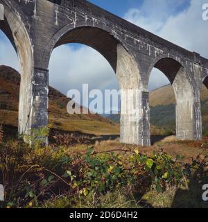 Vista dal basso del vecchio ponte ad arco o viadotto sullo sfondo del cielo con un arcobaleno. BlackBerry piante in primo piano. Glenfinnan Viadotto nelle Highlands della Scozia, Regno Unito Foto Stock