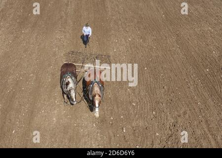 06.04.2019, Glasten, Sassonia, Germania - Farmer si affida al suo campo con l'aiuto di due cavalli a sangue freddo. 00S190406D220CAROEX.JPG [VERSIONE MODELLO: NO, PR Foto Stock