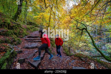 Aberfeldy, Scozia, Regno Unito. 16 ottobre 2020. Colori autunnali lungo il sentiero boschivo e il torrente agli Birks of Aberfeldy nel Perthshire. Iain Masterton/Alamy Live News Foto Stock