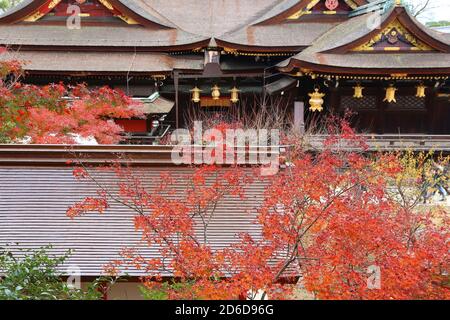 Autunno di Kyoto. Kitano Tenmangu Santuario e colorato fogliame di autunno di Kyoto, Giappone. Foto Stock