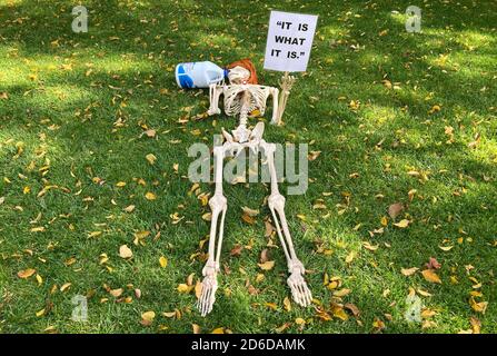 Scheletro di Halloween con un contenitore di disinfettante in un giardino anteriore a Evanston, un sobborgo di Chicago, Illinois, Stati Uniti Foto Stock