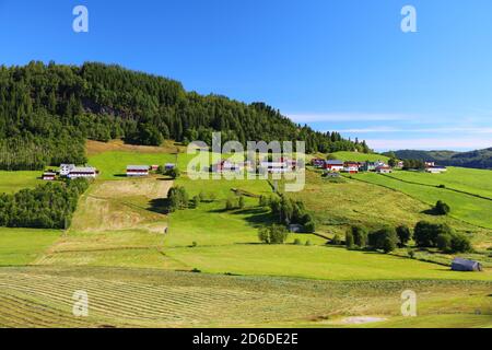 Terreni agricoli e pascoli in Norvegia. Zona agricola nella regione del comune di Sunnfjord (contea di Vestland). Foto Stock