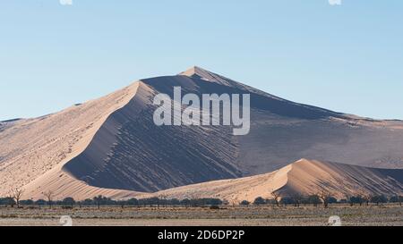 Un tour in jeep attraverso la Namibia, la fauna selvatica, il paese e la gente. Dune grande mamma. Foto Stock