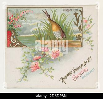 Clapper Rail, dalla serie Game Birds (N40) per Allen &amp; Ginter sigarette, 1888-90. Foto Stock