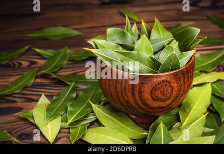 Foglie di alloro fresche in ciotola di legno su sfondo scuro Foto Stock