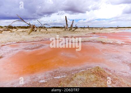 Maiorca, saline sulla spiaggia di es Trenc Foto Stock