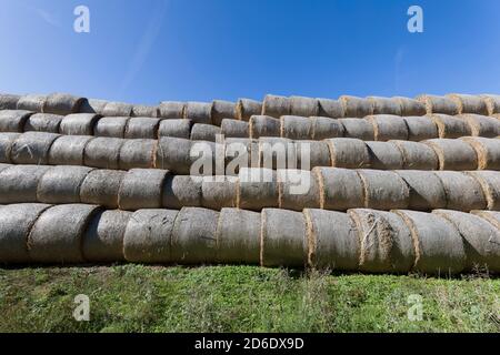 Balle di paglia accatastate l'una accanto all'altra e sopra l'altra, Rerik, Meclemburgo-Pomerania occidentale Foto Stock