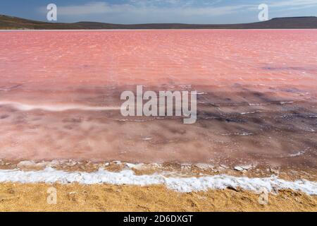 Lago salato rosa Sasik-Sivash, Yevpatoria, Crimea. L'acqua di questo lago è fortemente satura di sale e ha un colore rosa. Paesaggio molto bello Foto Stock