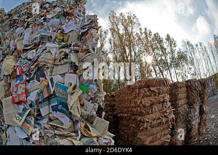 Rifiuti di carta in azienda di riciclaggio Foto Stock