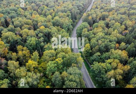 Foresta di inizio autunno con una strada che va attraverso, vista aerea Foto Stock