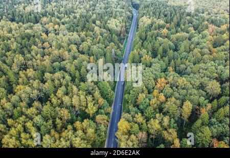 Foresta di inizio autunno con una strada che va attraverso, vista aerea Foto Stock