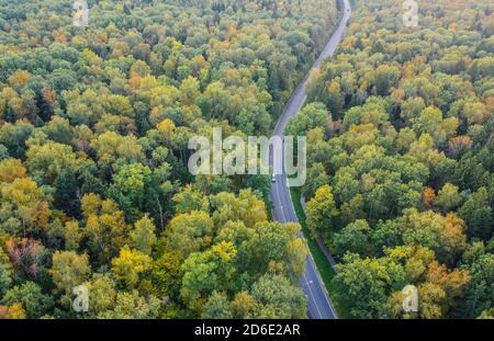 Foresta di inizio autunno con una strada che va attraverso, vista aerea Foto Stock