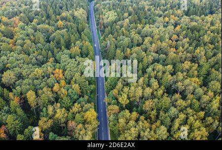 Foresta di inizio autunno con una strada che va attraverso, vista aerea Foto Stock