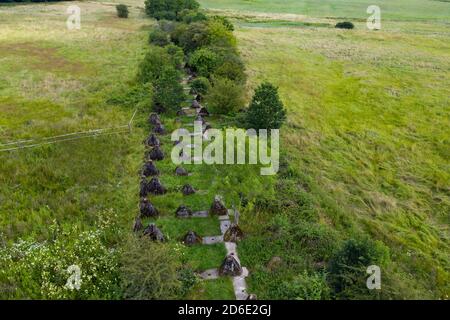 Höckerlinie, barriera anticarro dell'ex parete ovest nei pressi di Mettlach-Orscholz, Saargau, Saarland, Deutschland Foto Stock