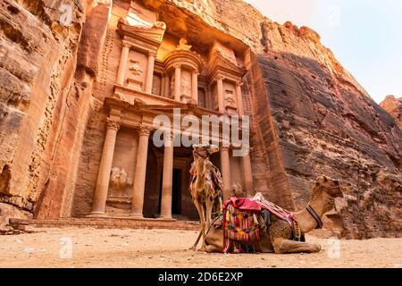 Vista mozzafiato di due cammelli che si posano di fronte al Khazneh (il Tesoro) a Petra. Al-Khazneh è uno dei templi più elaborati di Petra. Foto Stock