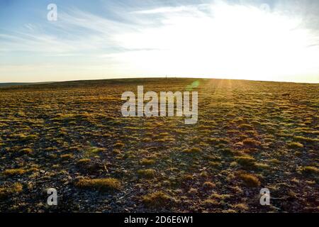 Campo arato e cielo, in Norvegia Scandinavia Nord Europa Foto Stock