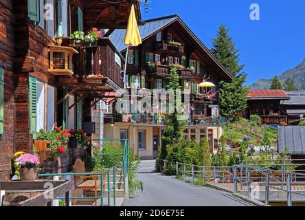Case residenziali tipiche su Dorfstrasse, Murren, regione Jungfrau, Oberland Bernese, Canton Berna, Svizzera Foto Stock