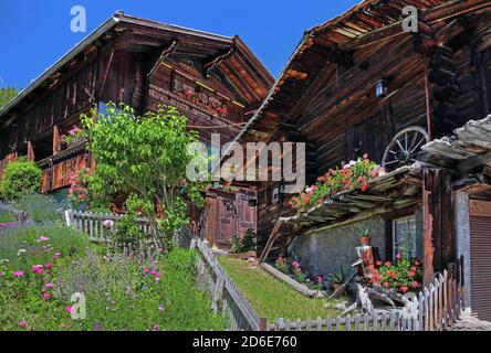 Fienile con giardino cottage nel centro del paese, Murren, regione Jungfrau, Oberland Bernese, Canton Berna, Svizzera Foto Stock