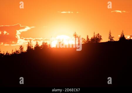 Tramonto dietro la collina coperta di alberi in Lapponia, Finlandia settentrionale durante l'estate. Foto Stock