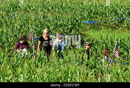 Mt. Dora, Stati Uniti. 15 Ott 2020. 15 ottobre 2020 - Mt. Dora, Florida, Stati Uniti - la gente naviga il labirinto annuale di mais autunnale a Long e Scott Farms il 15 ottobre 2020 a Mt. Dora, Florida. Il tema di questo labirinto di yearÕs 6 acri, che è aperto con la distanza sociale durante la pandemia del coronavirus, è 'Farm to Table'. Credit: Paul Hennessy/Alamy Live News Foto Stock